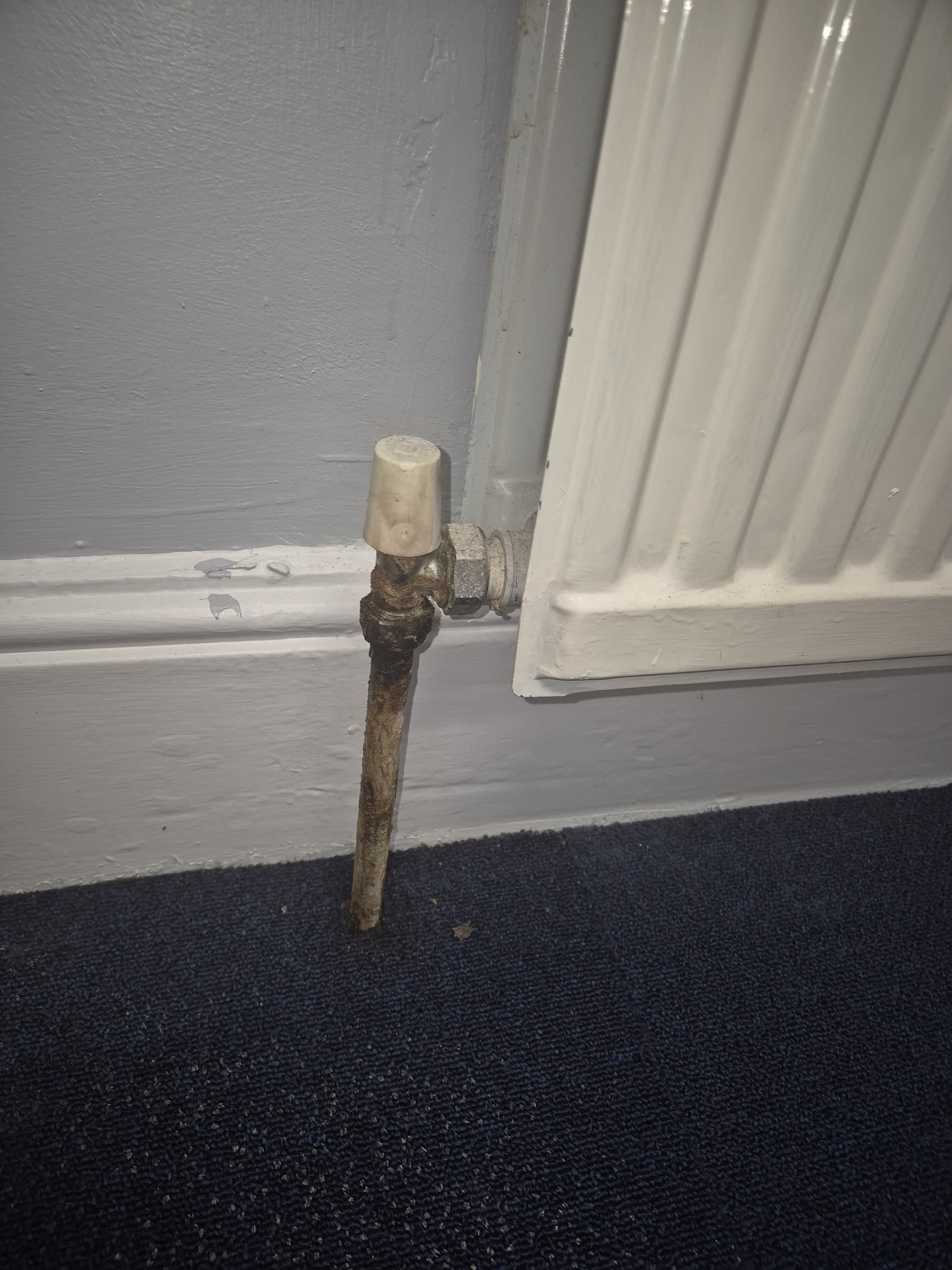 Radiator valve, before